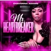 Mr. Heartbreaker - Single