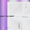 What You Want - Single