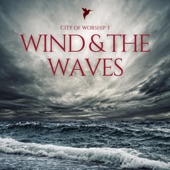 The Wind and the Waves (feat. SNT DVD & Blessingtone) artwork