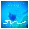 It's a Mad World - Single