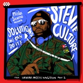 Stevie Culture - Solutions (We Can Do It)