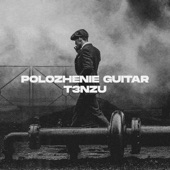 Polozhenie Guitar artwork