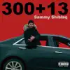 300+13 - Single album lyrics, reviews, download