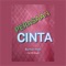 Perasaan Cinta (feat. Ella Novalia) - Burhan Habi lyrics