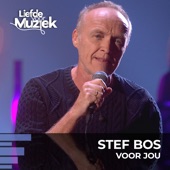 Voor Jou (uit Liefde Voor Muziek) artwork