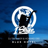 Blue Hotel artwork