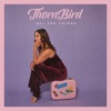 All the Things - Single