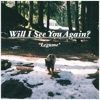 Will I See You Again? - Single