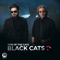 Avaaz - Black Cats lyrics