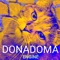 Catstar - Donadoma lyrics