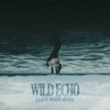 Wild Echo - Single