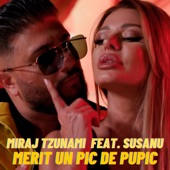 Merit Un Pic De Pupic (feat. Susanu) artwork