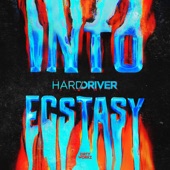 Into Ecstasy (Extended Mix) artwork