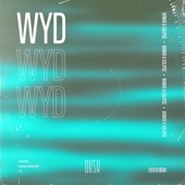 Wyd artwork