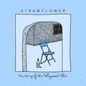 Strawflower - Haunting of the Hollywood Hills