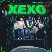 Xexo artwork