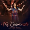 Me Enamoraste - Single