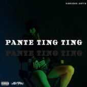 PANTE TING TING artwork