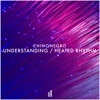 Understanding / Heated Rhythm - Single