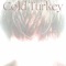 Cold Turkey (feat. Rippanic) - Tyve Fois lyrics