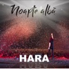 Noapte Albă - Single