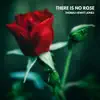 There Is No Rose - Single album lyrics, reviews, download