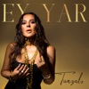 Ey Yar - Single