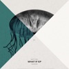 What If - Single