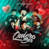 Quiero Ser (Version Norteña) - Single