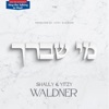 Mi Sheberach - Single
