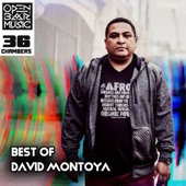 Best Of David Montoya artwork