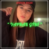 Yaprak Gibi (feat. Zehra Gülüç) [Görkem Koçak & Emre Tamer Remix] artwork