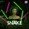 Snake (Extended Mix) artwork