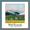 What I Did Find - Single