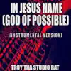 In Jesus Name (God of Possible) (Originally Performed by Katy Nichole) [Instrumental Version] song lyrics