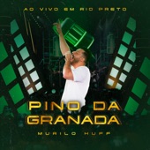 Pino da Granada (Ao Vivo em Rio Preto) artwork