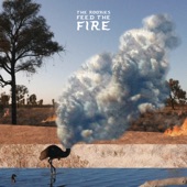 Feed the Fire artwork