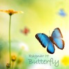 Butterfly - Single