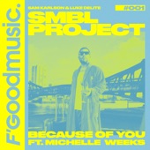 Because Of You (feat. Michelle Weeks) [Radio Edit] artwork