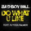 Do What U Like (Pt. 2) [feat. Alyssa Palmer] - Single album lyrics, reviews, download