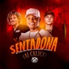 Sentadona (Ai Calica) by Davi Kneip, Mc Frog, Dj Gabriel do Borel iTunes Track 1