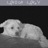 Landon Laney - The Big One