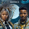 Amandla - Single, 2023