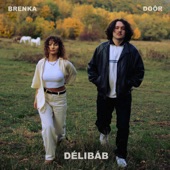 Délibáb (feat. DOÓR) artwork