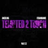 Tempted 2 Touch - Single