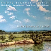 In the Shadow of a Cloud (feat. Chris Potter, Adam Rogers, Drew Gress & Gerald Cleaver) artwork