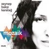 Zeynep Bakşi Karatağ - Talihim Yok Bahtım Kara