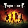 Papa Roach - Kick In The Teeth