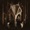 Wolves in the Throne Room - The Old Ones Are With Us