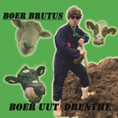 Boer Uut Drenthe artwork